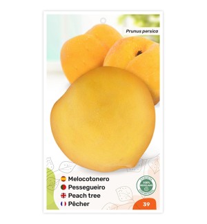 Melocotonero (amarillo)
