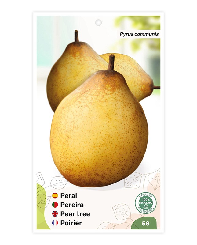 Peral (Rocha)