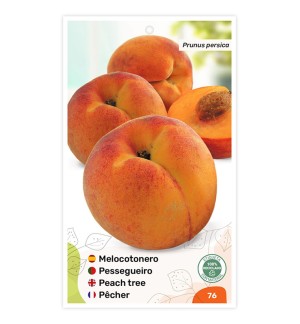 Etiquetas de Pessegueiro (bicolor)