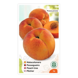 Etiquetas de Pessegueiro (bicolor)