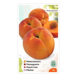 Etiquetas de Pessegueiro (bicolor)