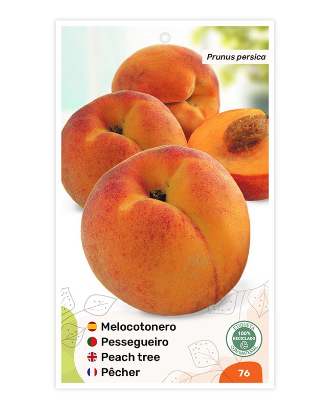 Etiquetas de Pessegueiro (bicolor)