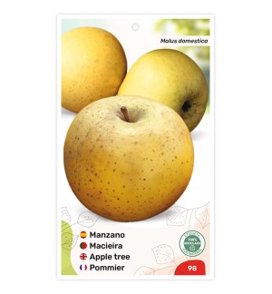 Manzano (Reineta blanca)