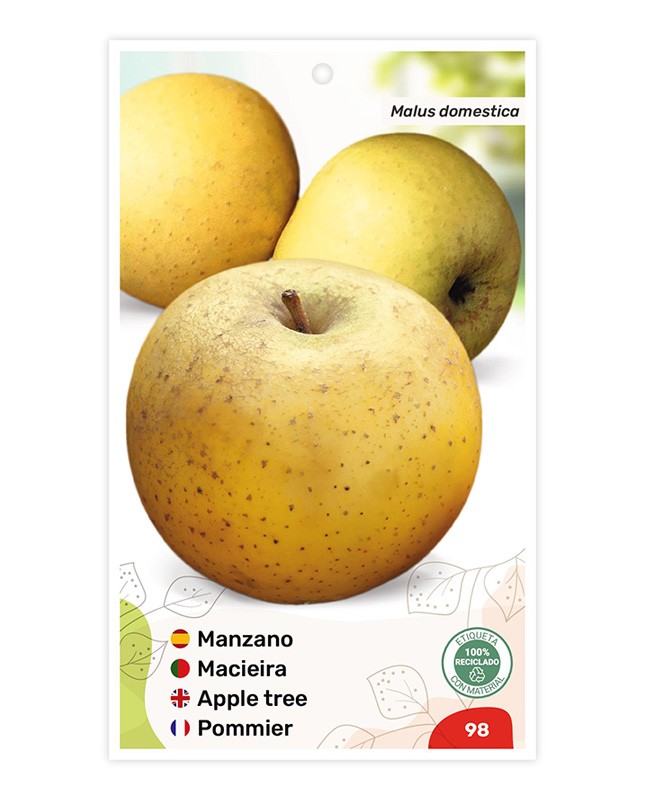 Manzano (Reineta blanca)