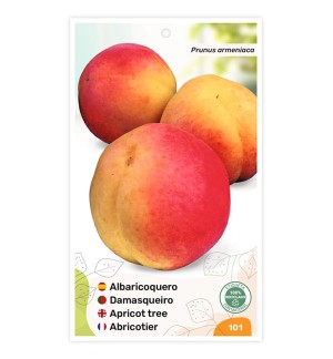 Albaricoquero Bicolor