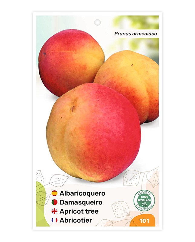 Etiquetas de Damasqueiro Bicolor