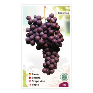 Etichette di Parra (morada)