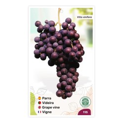 Etiquetas de Parra (morada)
