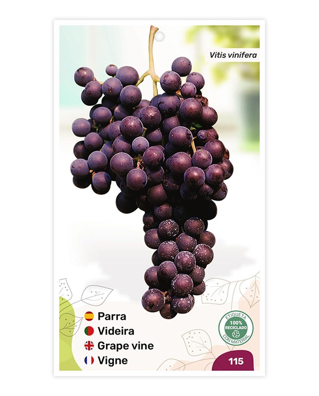 Etichette di Parra (morada)