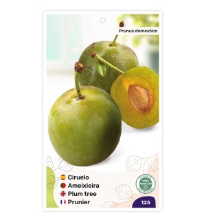 Ciruelo (Reina Claudia Bavay)