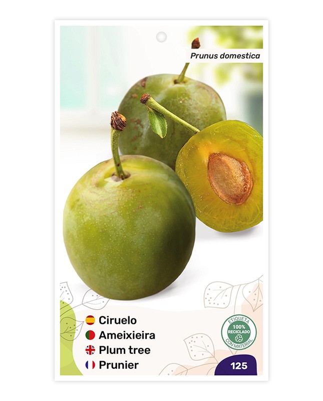 Ciruelo (Reina Claudia Bavay)