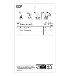 Etichette di Ciruelo (Reina Claudia Bavay)