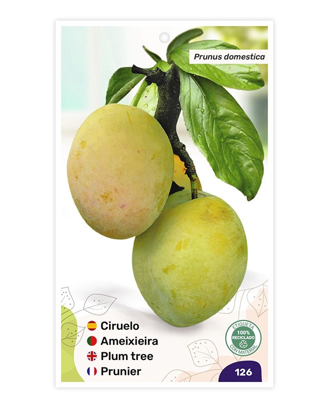 Ciruelo (Reina Claudia D'Oullins)