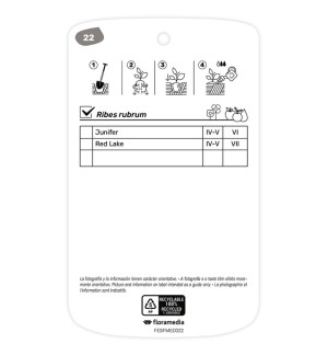 Etichette di Grosellero (rojo)