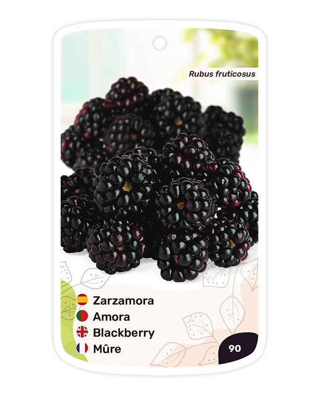 Zarzamora