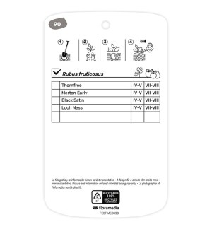 Etichette di Zarzamora