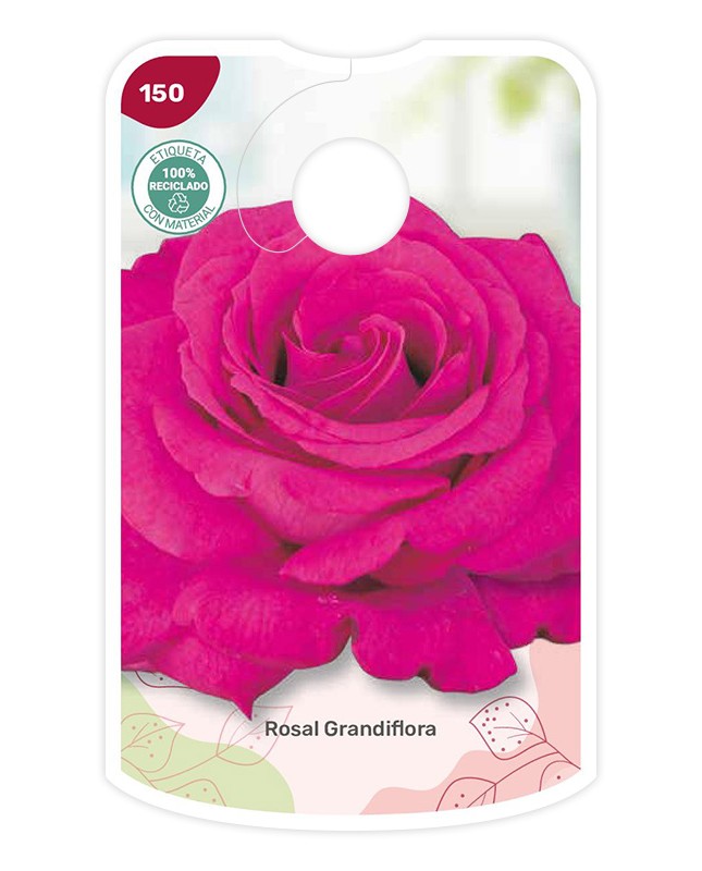 Etichette di Rosal Fucsia