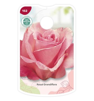 Etichette di Rosal Rosa