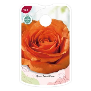 Etichette di Rosal Naranja