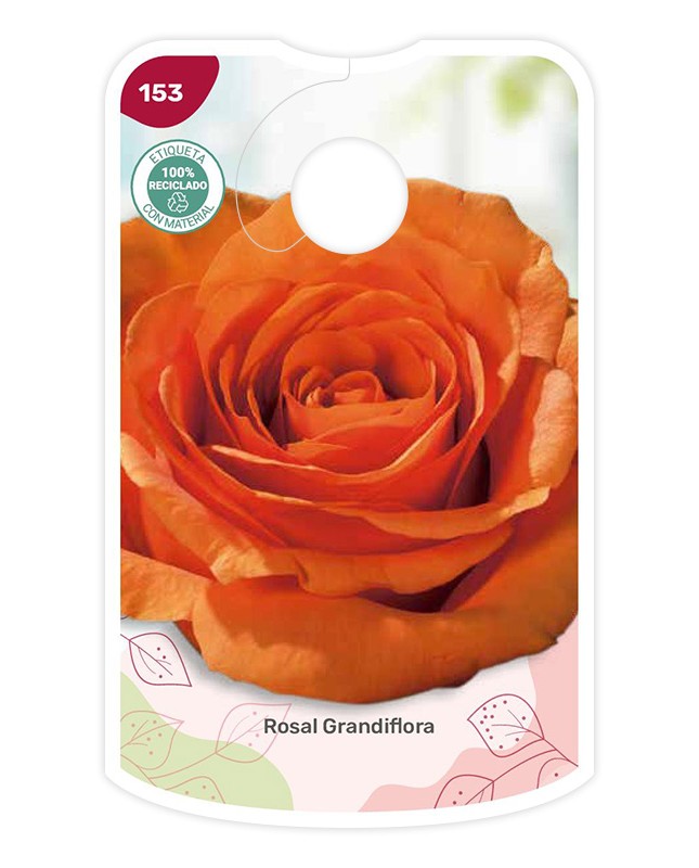 Etichette di Rosal Naranja