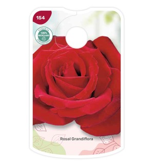 Etichette di Rosal Rojo