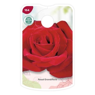 Etichette di Rosal Rojo