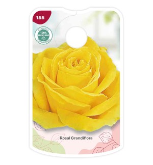 Etiquetas de Rosal Amarillo
