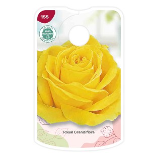 Etichette di Rosal Amarillo