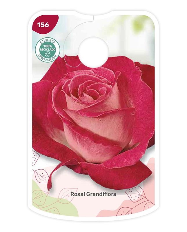 Bicolor (rosa oscuro - blanco)