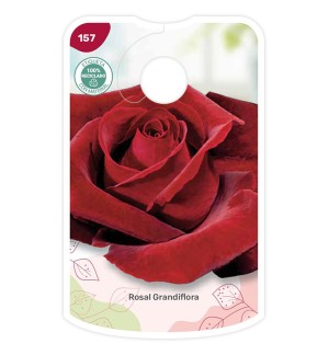 Etiquetas de Rojo Rosal terciopelo