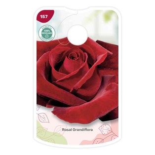 Etiquetas de Vermelho veludo