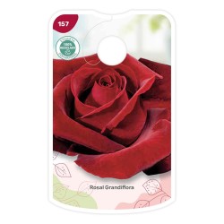 Etiquetas de Vermelho veludo