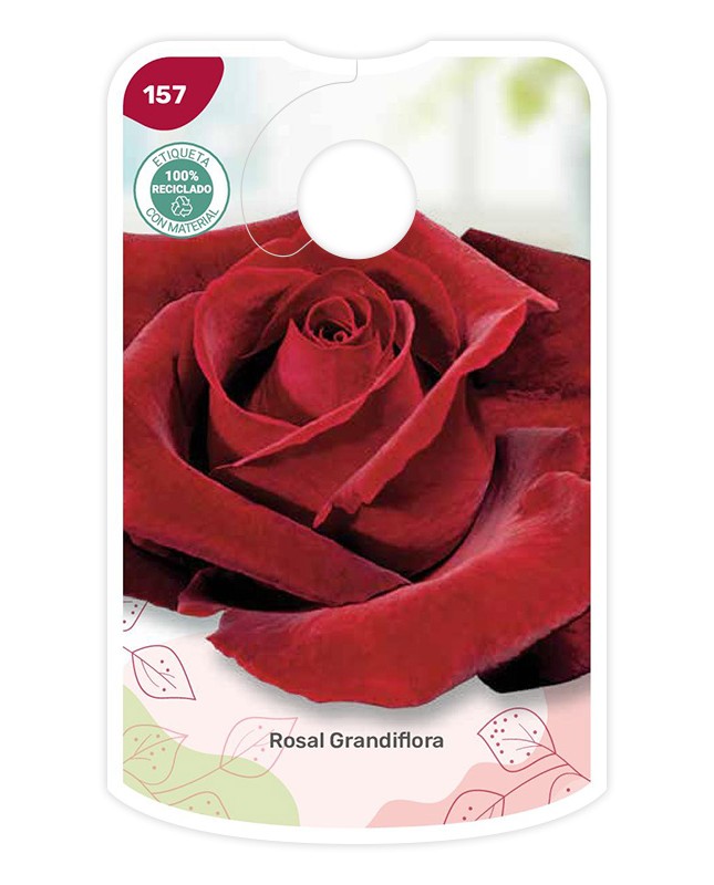 Etichette di Rojo Rosal terciopelo