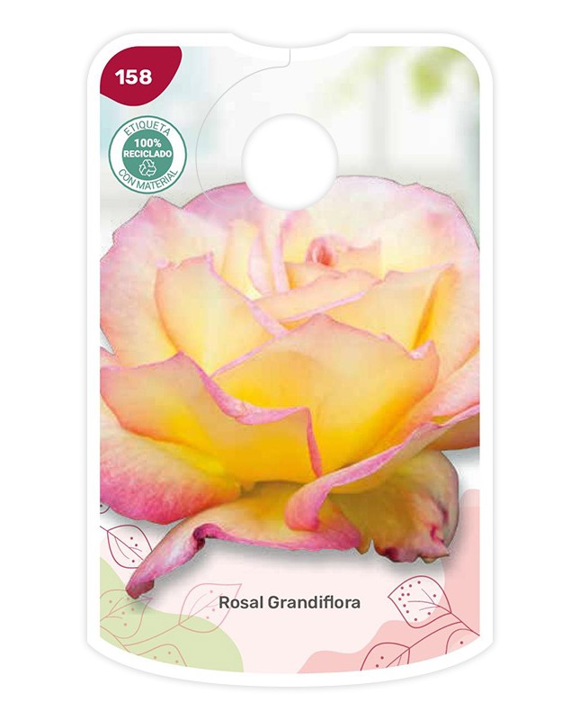 Etiquetas de Bicolor (amarelo - rosa)