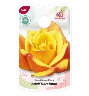 Etichette di Rosal Adolf Horstman