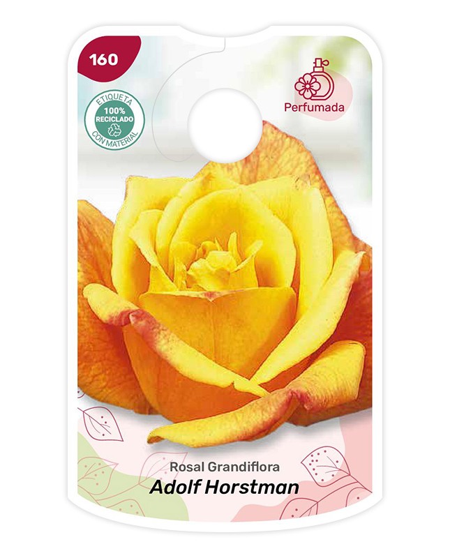 Etichette di Rosal Adolf Horstman