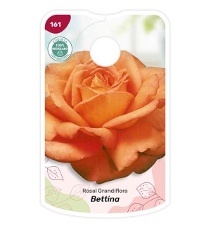 Etichette di Rosal Bettina