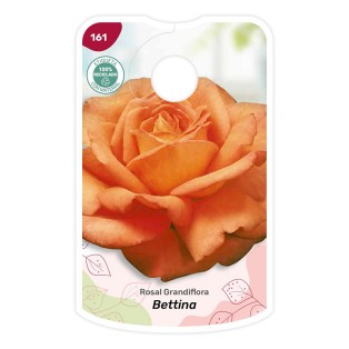 Etiquetas de Bettina