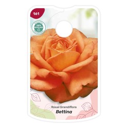 Etiquetas de Bettina