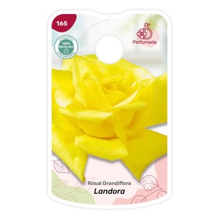 Etichette di Rosal Landora