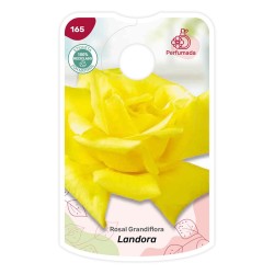 Etichette di Rosal Landora