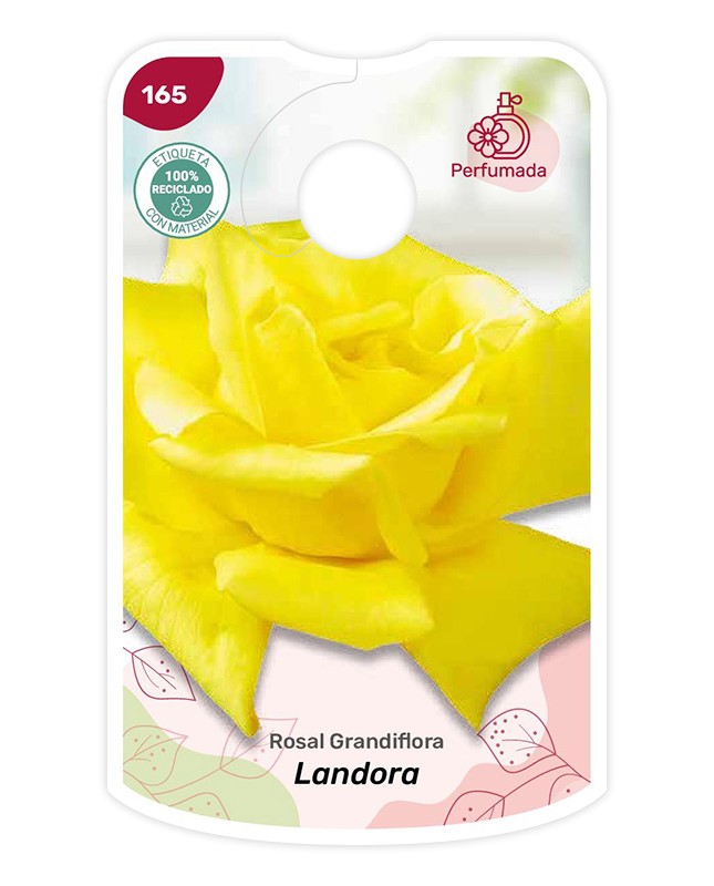 Etichette di Rosal Landora