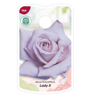 Etichette di Rosal Lady X