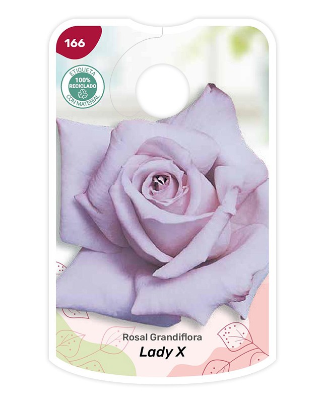 Etichette di Rosal Lady X