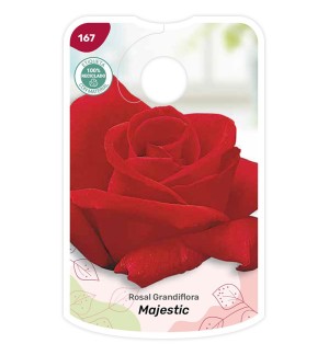 Etiquetas de Rosal Majestic