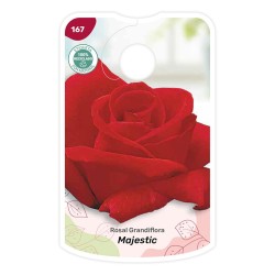 Etiquetas de Rosal Majestic