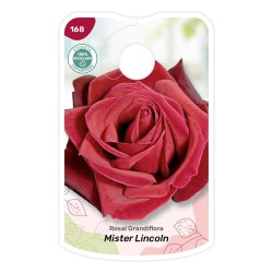 Etichette di Rosal Mister Lincoln