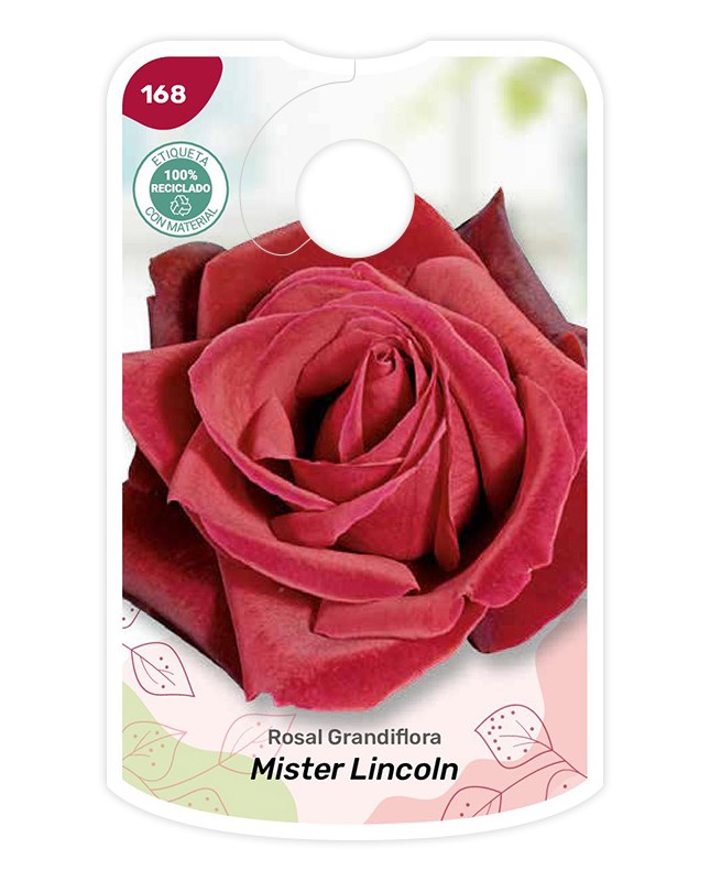 Etichette di Rosal Mister Lincoln