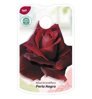 Etichette di Rosal Perla Negra
