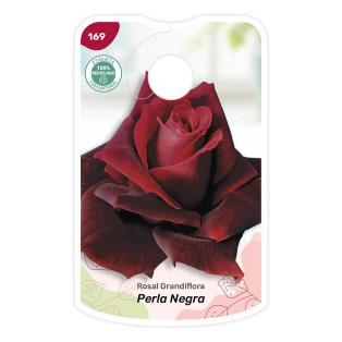 Etichette di Rosa Perla Nera